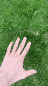 Touch Grass Break GIF - Touch Grass Break Outside GIFs