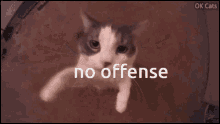 No Offense GIF - No Offense GIFs