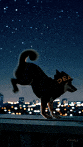 a dog standing on its hind legs wearing a black shirt that says del