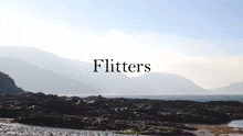 Flitters Manx GIF