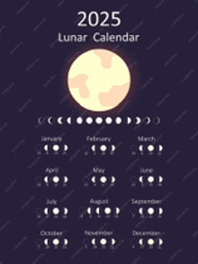 a lunar calendar for the year 2025 with the moon