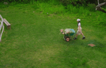 a woman pushes a wheelbarrow full of flowers in a field