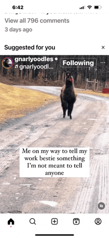 a picture of a llama on a road with a caption that says me on my way to tell my work bestie
