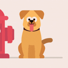 Dog GIF