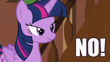 No Mlp GIF - No Mlp My Little Pony GIFs