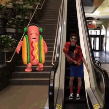 Roy Purdy Escalator GIF - Roy Purdy Escalator Snapchat Hot Dog GIFs