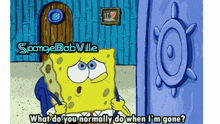 spongebob says " what do you normally do when i 'm gone "