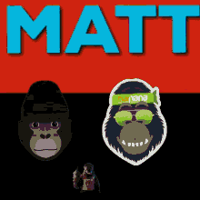 Matthew Mattmatt GIF