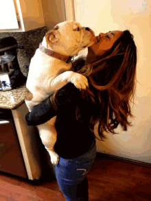 Bulldog Kisses GIF - Bulldog Kisses Hugs GIFs