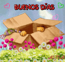 a cardboard box with a cat sticking its head out of it and the words buenos dias in red