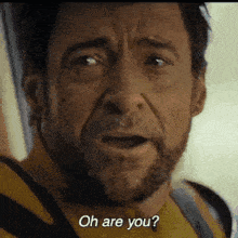 a man with a beard is saying oh are you ?