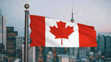 a canadian flag with a maple leaf on it is flying in front of a city skyline