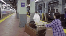 Real Life Harry Potter GIF - Fail Teleport Harry Potter GIFs