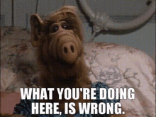 Alf What Youre Doing Here Is Wrong GIF - Alf What Youre Doing Here Is Wrong Dont Do That GIFs