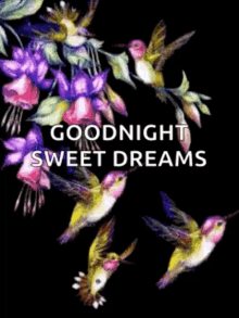 Sweet Dreams Goodnight GIF - Sweet Dreams Goodnight Flowers GIFs