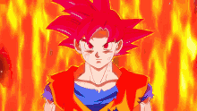 Super Saiyan God Son Goku GIF - Super Saiyan God Son Goku Goku GIFs