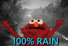 elmo with his arms outstretched and the words 100 % rain
