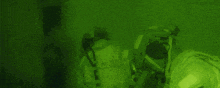 a green background with the website navyseals.com visible