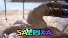 Salpixa Salsicha GIF - Salpixa Salsicha Salpixada GIFs