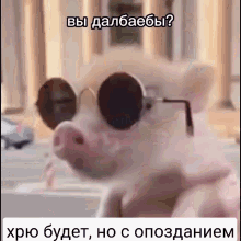 хрюбудет сопозданием GIF
