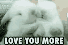 Cute Love You More GIF - Cute Love You More Rabbit GIFs