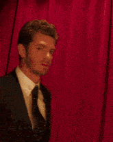 a man in a suit and tie stands in front of a mirror
