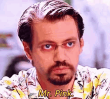 Steve Buscemi Mr Pink GIFs