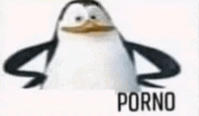 Porno пингвин GIF