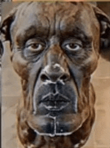 a painting of a dog with a human face painted on it .