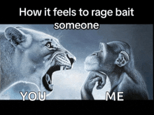 a drawing of a lion and a chimpanzee with the caption how it feels to rage bait someone you me