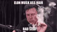 Elon Musk Ass Hair GIF - Elon Musk Ass Hair Bad Seed GIFs