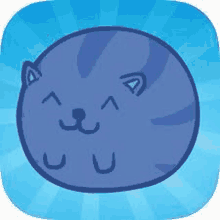 Sushi Cat Flash Game GIF - Sushi Cat Flash Game GIFs