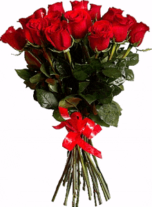 rosas gif