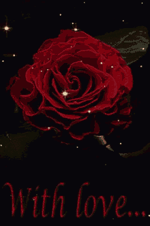 Rose Flower GIF - Rose Flower With Love GIFs