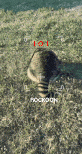 a picture of a raccoon with the word rockoon on the bottom right