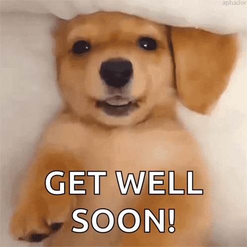 get well soon cute puppy