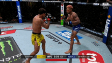 two men are fighting in a boxing ring sponsored by bud light and monster energy drinks