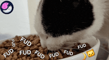 a black and white cat is eating food from a bowl that says fud on it
