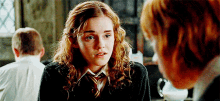 Hermione Granger What Did You Say GIF