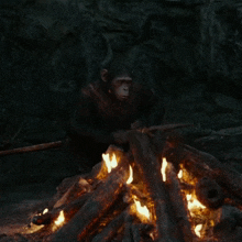 Planet Of The Apes Blue Eyes GIF - Planet Of The Apes Blue Eyes Sit GIFs