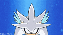 a cartoon of a silver hedgehog with the words sonic gifs below it