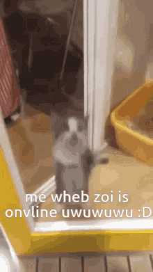 Zoi Zoi Online GIF