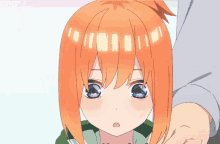 What The Quintessential Quintuplets GIF - What The Quintessential Quintuplets 5toubun No Hanayome GIFs