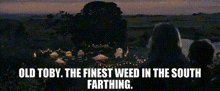 Lord Of The Rings Old Toby GIF - Lord Of The Rings Old Toby Pipe Weed GIFs