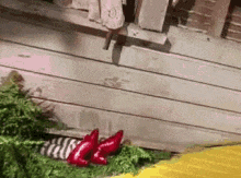 a pair of red boots are laying on the grass next to a yellow carpet .