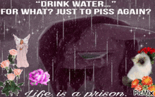 a picture of a cat and flowers with a caption that says " drink water for what just to piss again "
