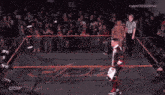 a man in a wrestling ring with the word cpw on the wall
