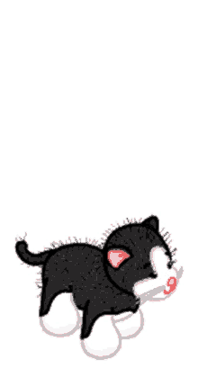 webkinz cat kiss heart