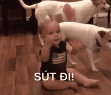 a baby is sitting on the floor with two dogs behind him and the baby is waving .