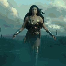 Rondillo Wonder Woman GIF